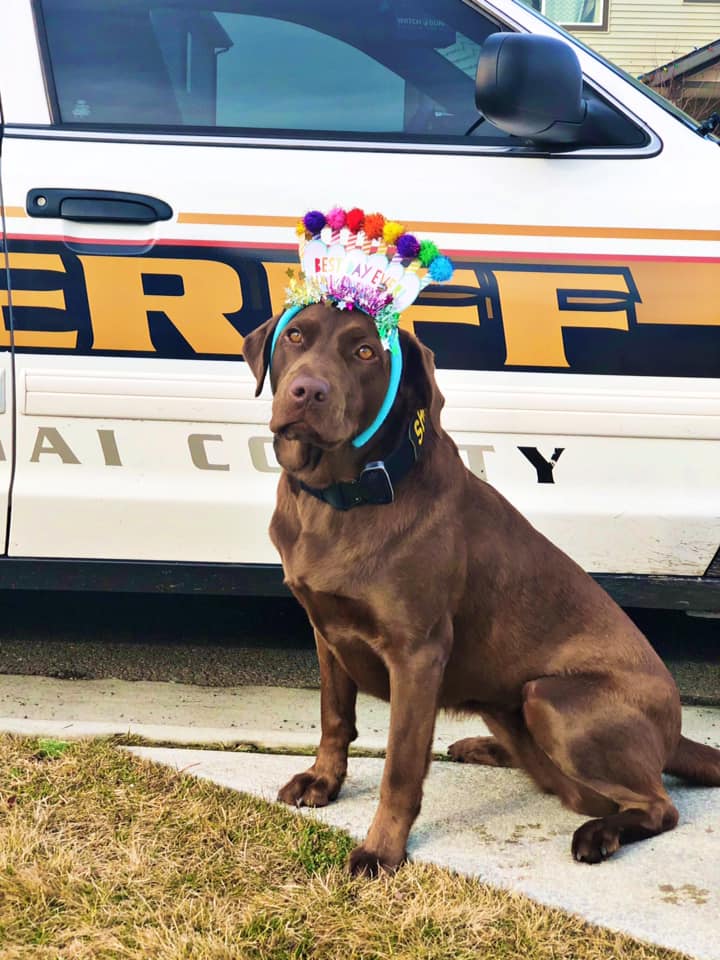 Kootenai County Pride Festival